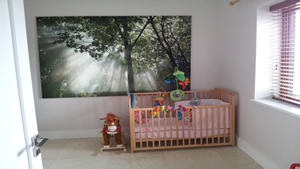 Private House Grange - Extension and Renovation 